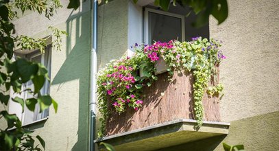 Najpiękniejsze balkony i ogrody w Warszawie