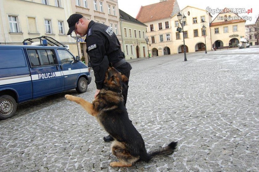 Policja w Tarnowskich Górach ma nowego psa. To owczarek niemiecki Kair