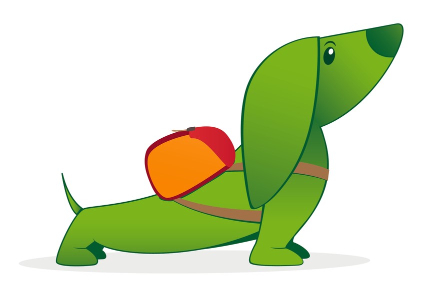 Solaris Inter_Urbino foto Promo Solaris