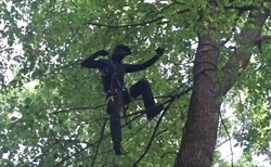 Niemieccy ekolodzy chcą zablokować wycinkę lasu pod kopalnię. Powstało miasteczko na drzewach