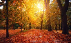 Idzie ochłodzenie. Będzie jesiennie i 'w kratkę'. PROGNOZA POGODY