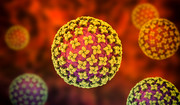 Ranking najgroźniejszych wirusów odzwierzęcych. Mogą wywołać kolejną pandemię?