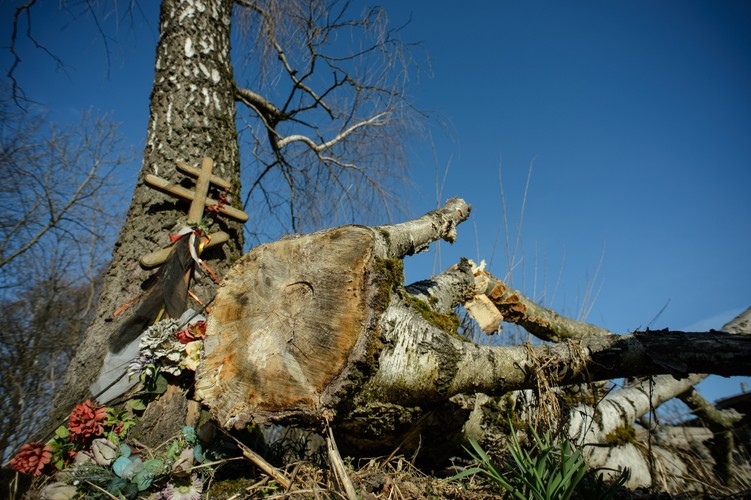 Miejsce katastrofy prezydenckiego tupolewa w Smoleńsku