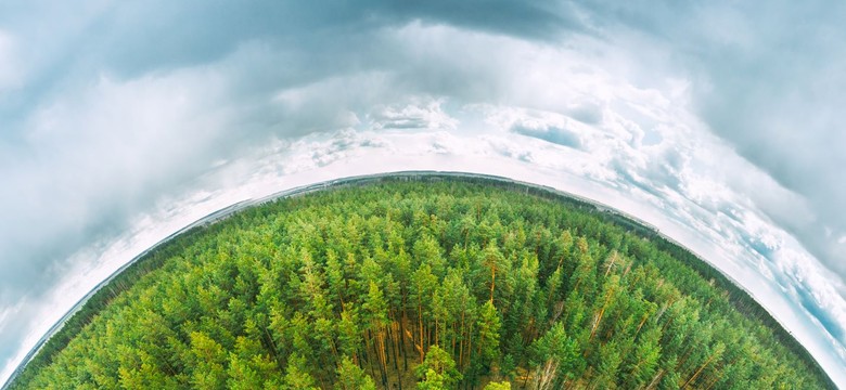 EKO-edukacja w szkole – jak uczyć młodych ludzi odpowiedzialności za planetę