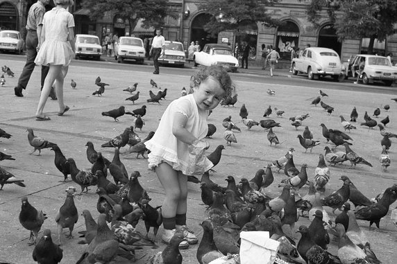 Dziewczynka karmi gołębie. Kraków, Rynek Główny 1972 rok