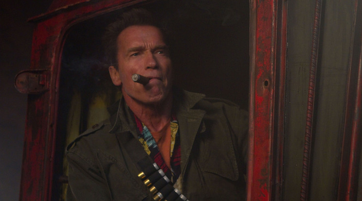 Mindannyiunk nagy kedvence: Arnold Schwarzenegger / Fotó: Northfoto