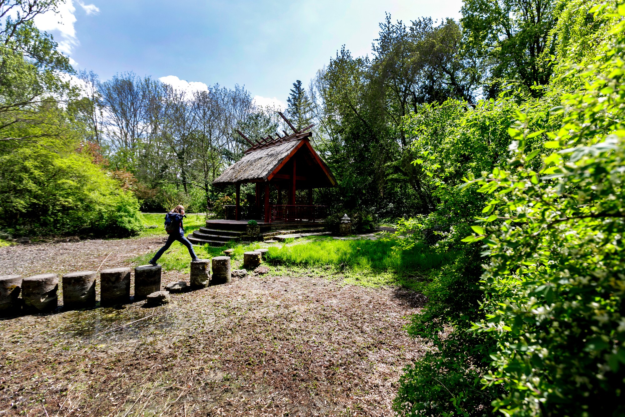 Arborétum Mlyňany