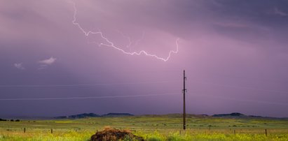 Straszne skutki burzy. Piorun zabił 7 koni