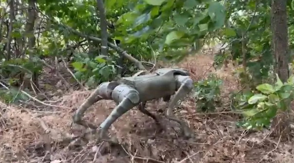 Robopies - Ukraina testowała na froncie m.in. takie urządzenia