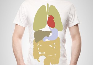 shutterstock_120608653