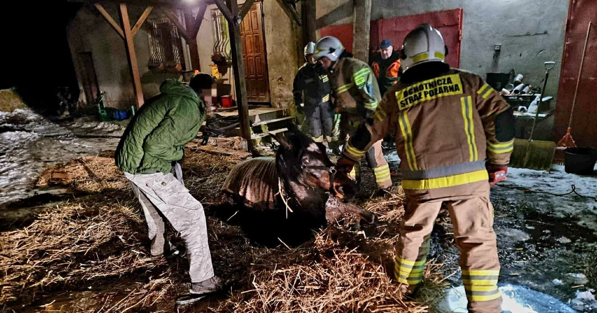 Nietypowe zgłoszenie do straży pożarnej w Polkowicach. W Sylwestra rozegrał się dramat