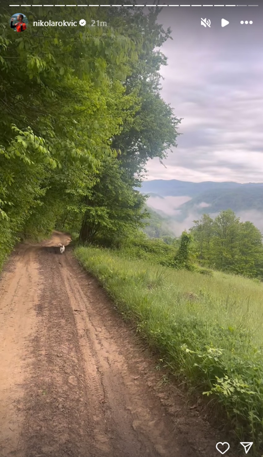 Nikola Rokvić, deseti dan hodočašća