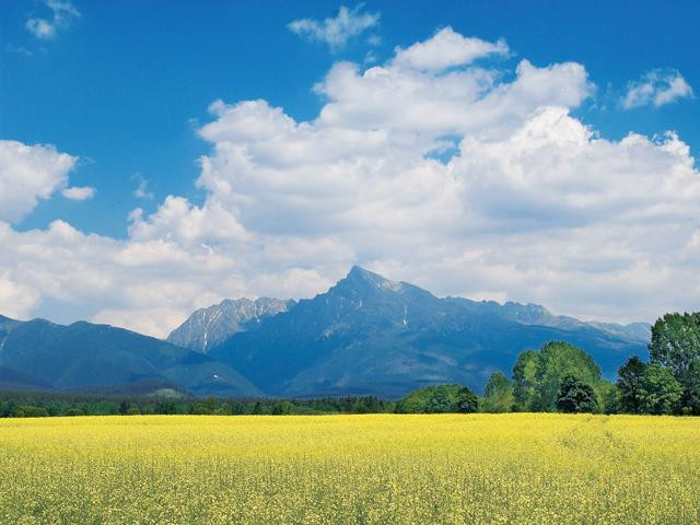 Galeria Najpiękniejsze góry Słowacji, obrazek 2