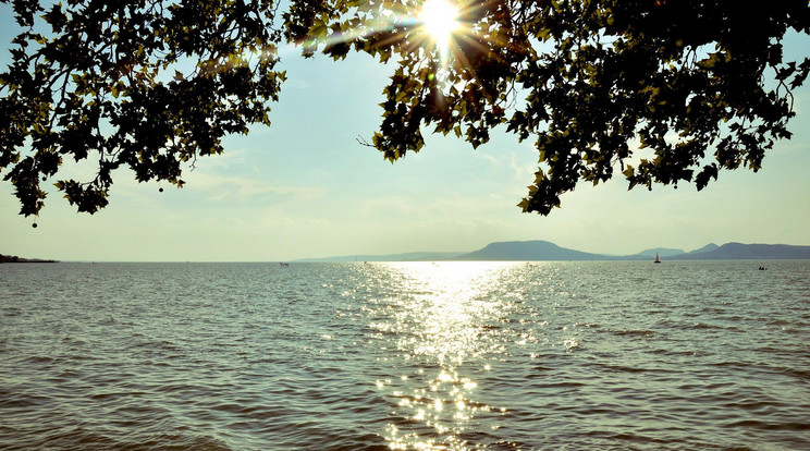 Belefulladt a Balatonba egy 78 éves fővárosi férfi Siófokon / Fotó: Pixabay