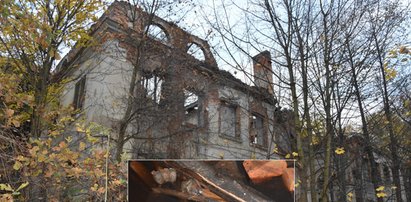 Tajemnica pałacu w Głębowicach. Tuż obok dokonano makabrycznego odkrycia...