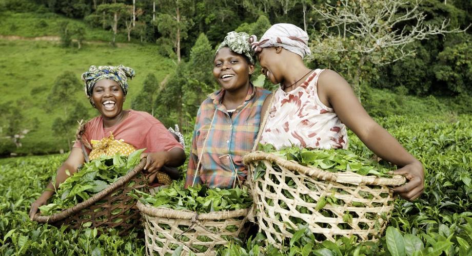 Female farmers in Africa