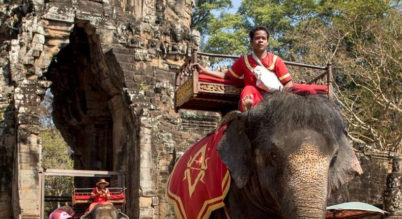 Sambo the elephant giving rides at the Bayon Angkor Wat