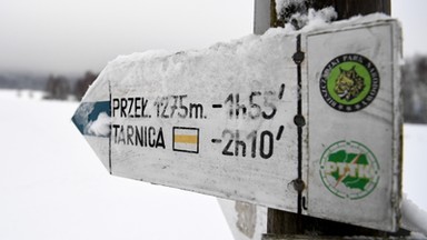 Bieszczady: drugi stopień zagrożenia lawinowego