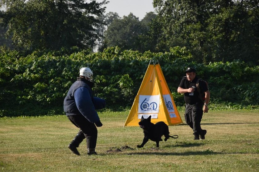        W XVI Kynologicznych Mistrzostwach Policji, uczestniczyło 17 drużyn z psami patrolowo-tropiącym