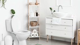 wrzuć tę tabletkę do toalety a będzie lśniła bielą. obędzie się bez sz