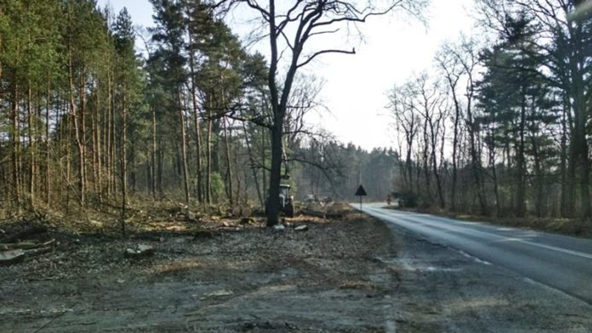 Budowa tej ścieżki rowerowej budziła sporo kontrowersji. Z jednej strony społecznicy i przyrodnicy alarmowali o niewłaściwej decyzji miasta i konieczności zmiany koncepcji budowy ścieżki. Z drugiej, radny Rober Górski tłumaczył, że to najrozsądniejsze ekonomicznie i najbezpieczniejsze rozwiązanie. Również Lasy Państwowe zabrały głos w spornej sprawie i opublikowało specjalne oświadczenie. Co z tego wynikło?