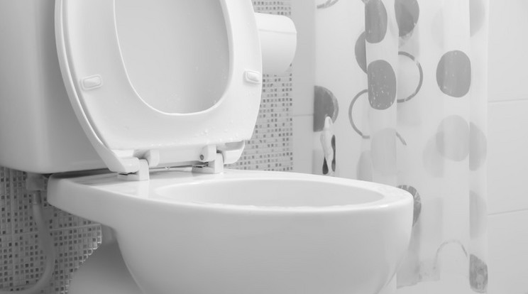 WC /Fotó: Thinkstock