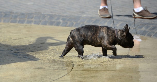 WARSZAWA LIPCOWE UPAŁY