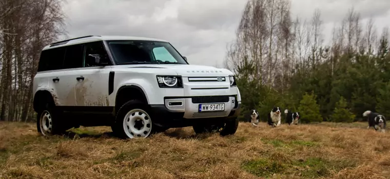 Land Rover Defender Hard Top to doskonały samochód dla profesjonalistów, gdyby nie jedna rzecz [TEST]