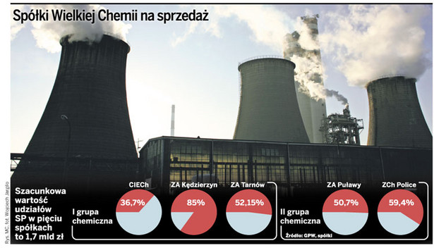 Spółki Wielkiej Chemii na sprzedaż