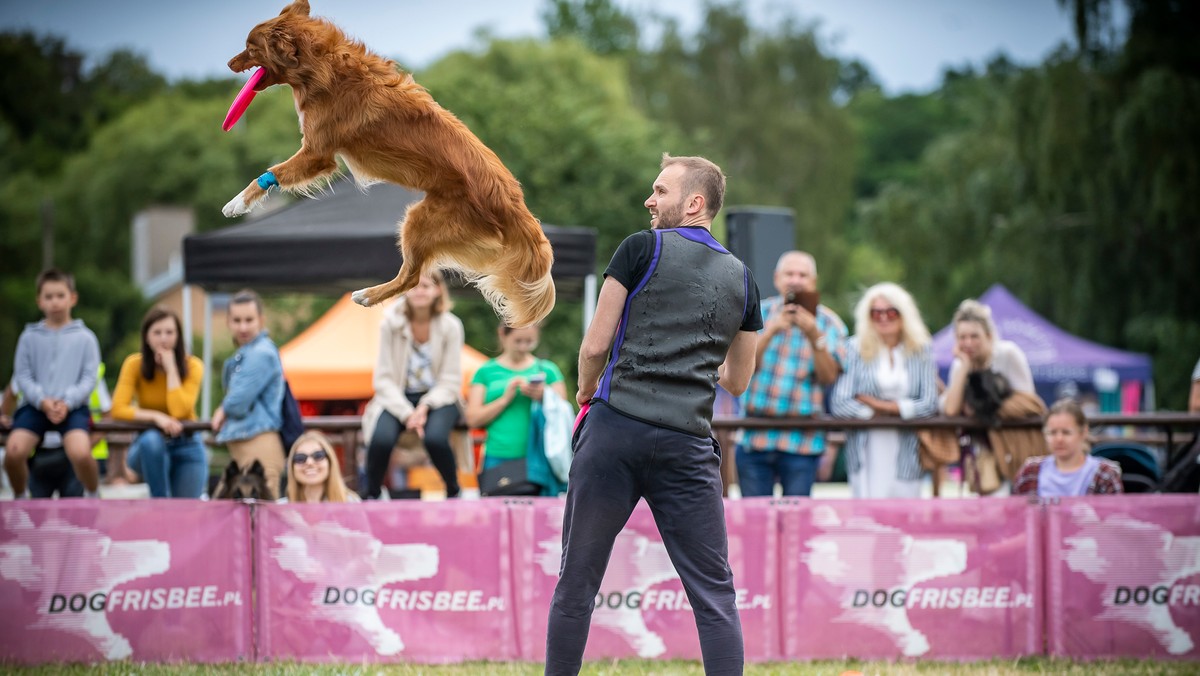 Nauczyłem psa latać. Wystartowałem w zawodach dogfrisbee