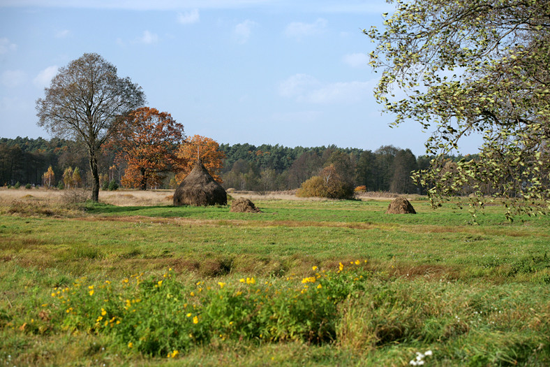 Kampinoski Park Narodowy