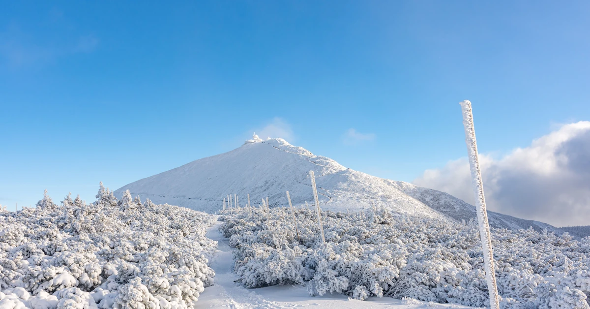 Wielki i trudny quiz z polskich gór. Najwyższy szczyt punktacji tylko dla mistrza