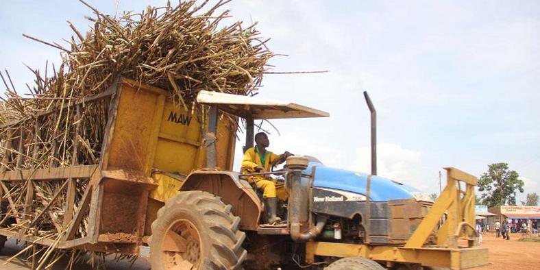 Tanzania produces about 320,000 tonnes of sugar against a national annual demand of 670,000 tonnes. 