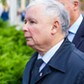 POZNAŃ PIS PREZES KACZYŃSKI WIZYTA