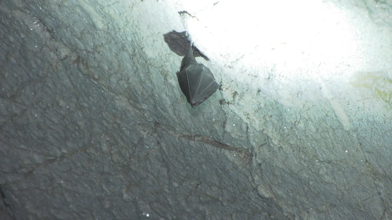 Ledena pećina kod Nove Varoši