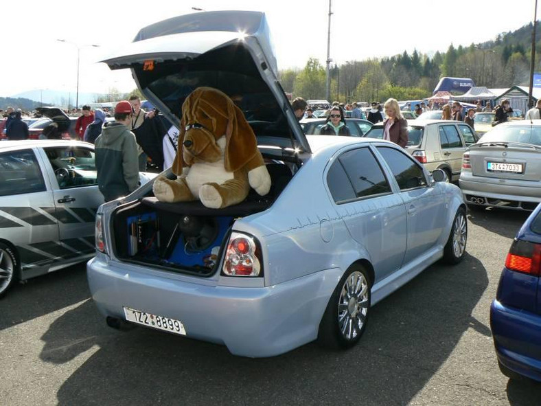 Tuning Motor Show 2007: fotogaleria z Koprzywnicy (aktualizacja)