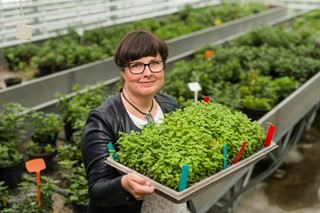 Atak klonów [EUREKA DGP]