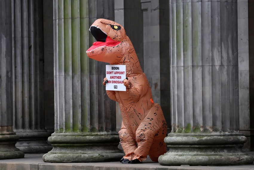 Protest organizacije PETA u Glazgovu tokom klimatskog samita