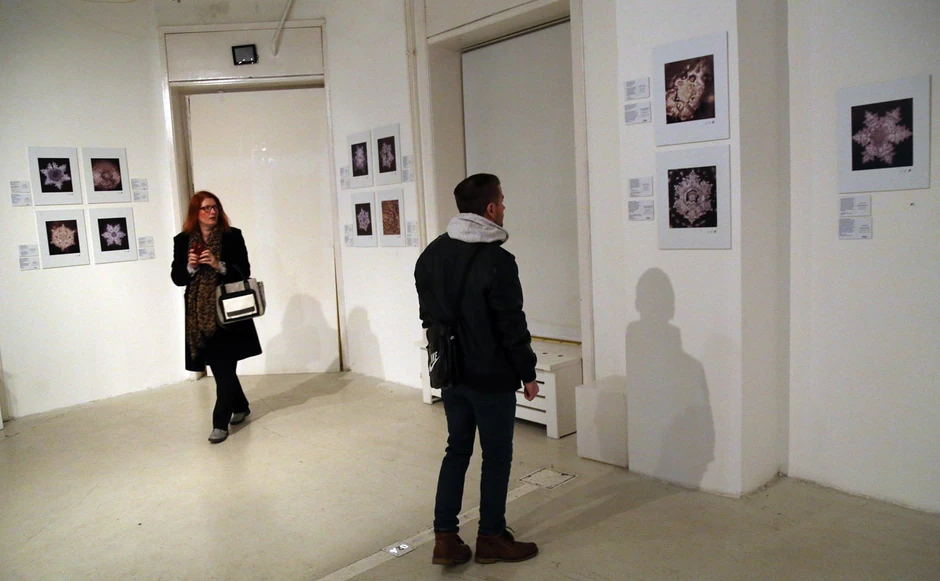 Spoj nauke i umetnosti: Sa izložbe "Kristali vode" u Galeriji 12HUB