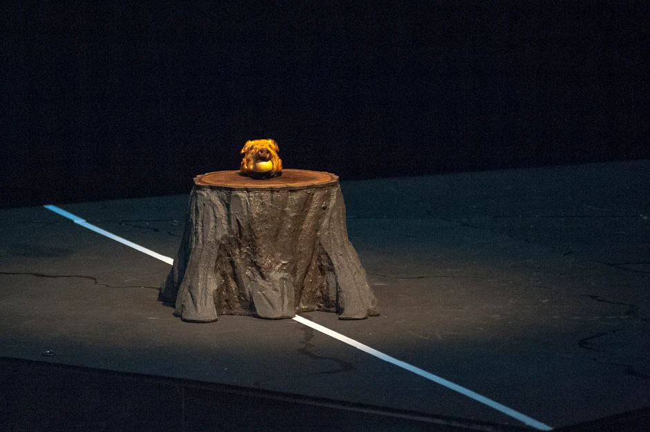 Pečena svinjska glava na sceni