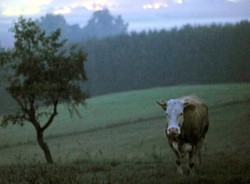 Do rozdania ponad 360 milionów. Sprawdź, jak je dostać