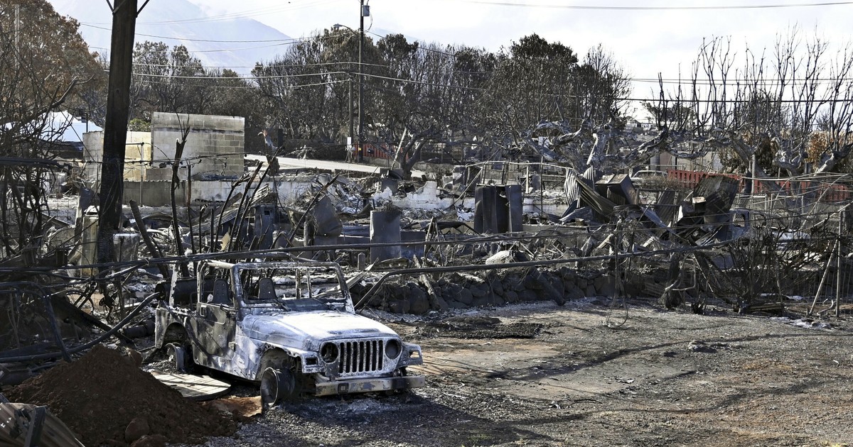 Havajské energetické společnosti věděly o hrozbě lesních požárů