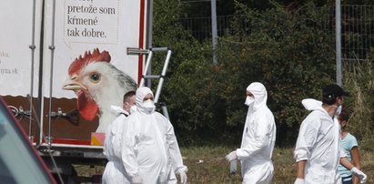 Z ciężarówki wydobyto 70 rozkładających się ciał