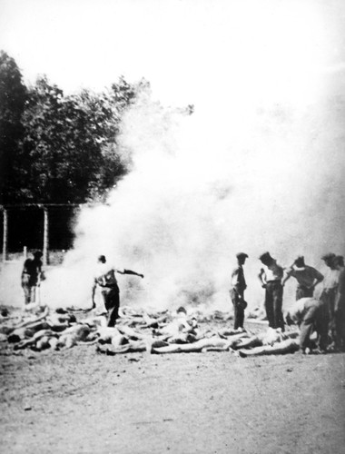 KL Auschwitz. Archiwalne ZDJĘCIA z czasów wojny