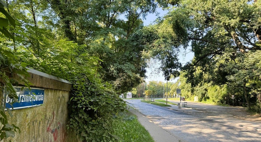 Ulica Trzmielowicka za kilka lat zmieni się nie do poznania