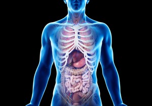 Otkazivanje jednog ili više organa odjednom mogu da izazovu različita stanja