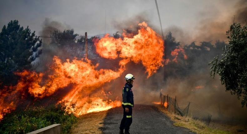 Portugal reported a sharp rise in the destruction wrought by forest fires so far this year compared with figures for the past decade