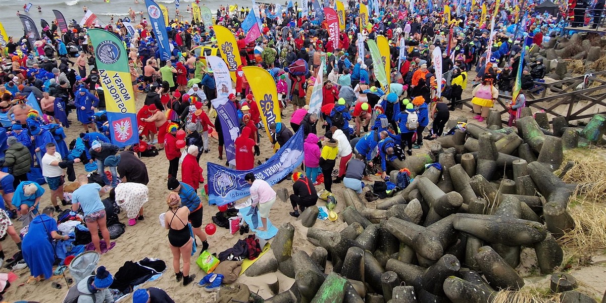 Tłum morsów na plaży w Mielnie