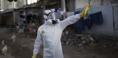 WHO ogłasza globalny alarm. Zika zagraża wszystkim?