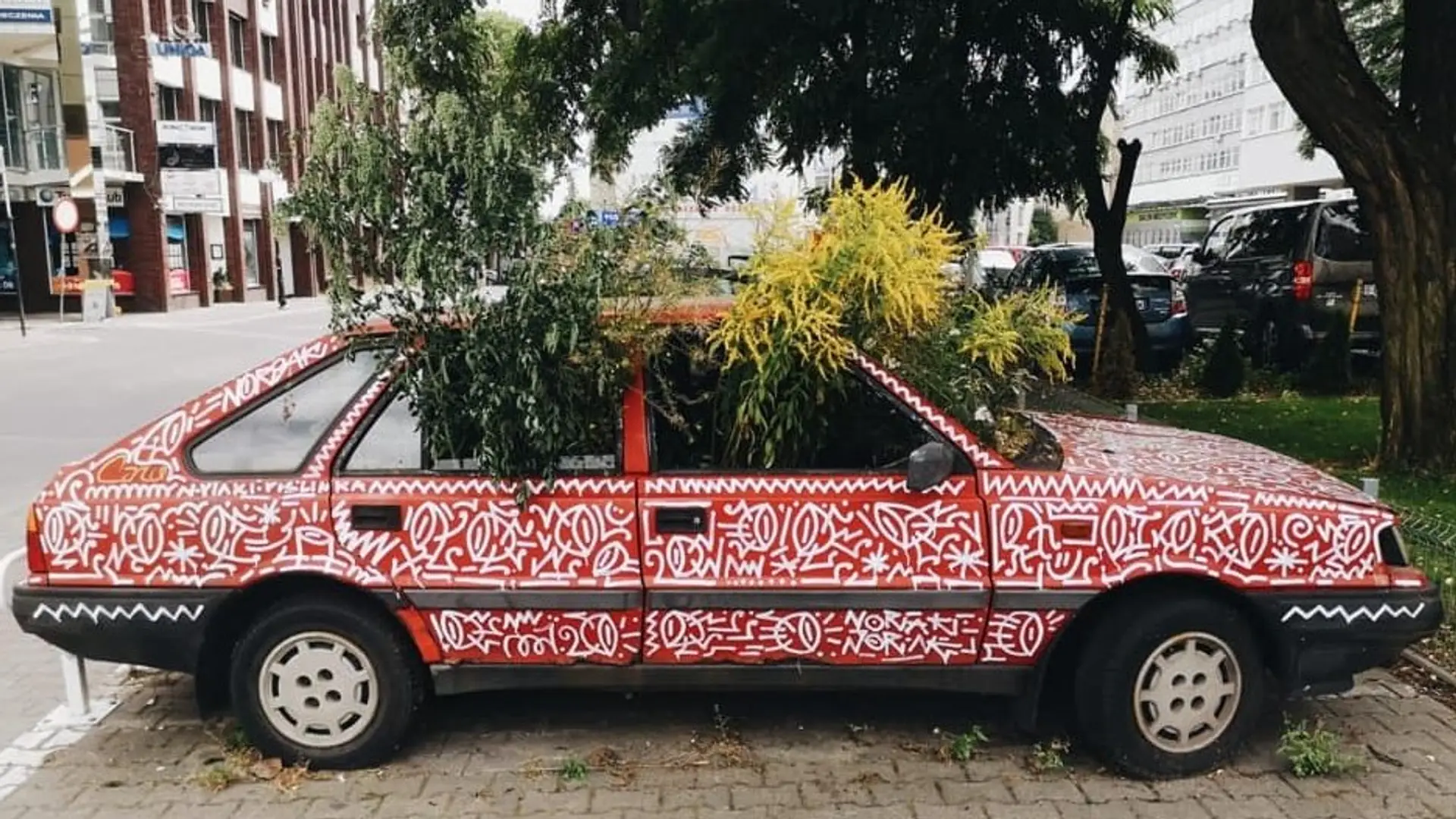 Porzucony Polonez przejęty przez rośliny. To praca znanego artysty ulicznego